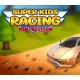 Super Kids Racing : Mini Edition Steam CD Key