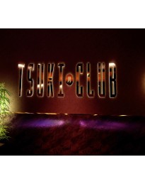 VR Paradise - Tsuki Club DLC Steam CD Key