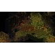 UnderRail + Expedition Bundle PC Steam CD Key
