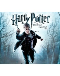 Harry Potter and the Deathly Hallows – Part 1 PC EA App CD Key