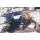 Century: Age Of Ashes - Helkjan Cliffs Dragon Bundle DLC XBOX One / Xbox Series X|S CD Key