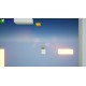 Save The Bear Cubs Steam CD Key