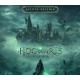 Hogwarts Legacy Digital Deluxe Edition UK Xbox Series X|S CD Key