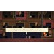 Spelunky 2 Steam Account
