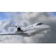 X-Plane 12 PC Steam Account