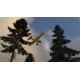 X-Plane 12 PC Steam Account