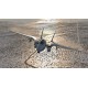 X-Plane 12 PC Steam Account