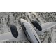 X-Plane 12 PC Steam Account