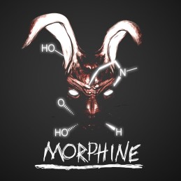Morphine PC Steam CD Key