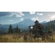 Days Gone PC Steam Account