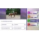 Equestrian Training Steam CD Key