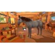 Equestrian Training Steam CD Key