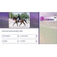 Equestrian Training Steam CD Key