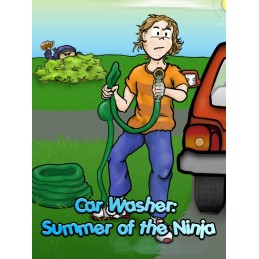 Car Washer: Summer of the Ninja PC Steam CD Key