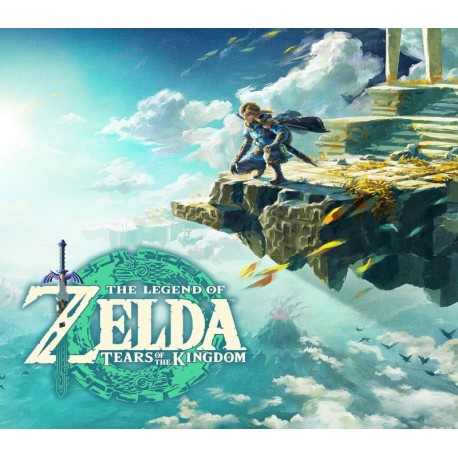 The Legend of Zelda: Tears of the Kingdom Nintendo Switch Access