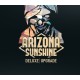 Arizona Sunshine - Deluxe Upgrade DLC PC Steam CD Key