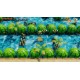 The Legend of Zelda: Link’s Awakening Nintendo Switch Online Account Activation