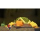 Paper Mario: The Origami King Nintendo Switch Online Account Activation