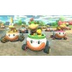 Mario Kart 8 Deluxe Nintendo Switch Access