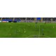 Football Manager 2016 Limited Edition PC Steam CD Key
