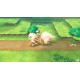 Pokémon: Let's Go, Pikachu Nintendo Switch Online Account Activation