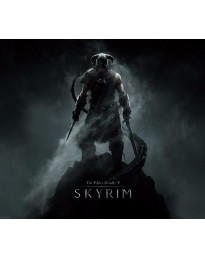 The Elder Scrolls V: Skyrim Nintendo Switch Access