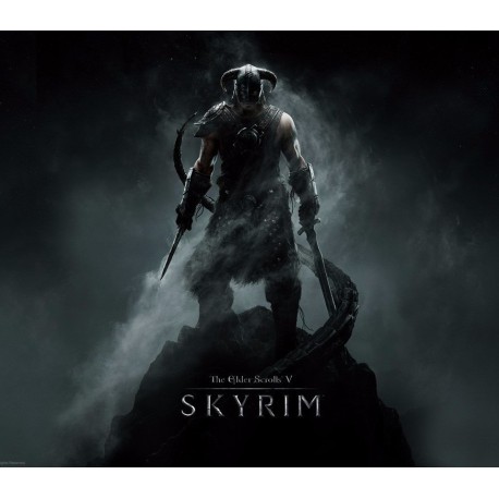 The Elder Scrolls V: Skyrim Nintendo Switch Access