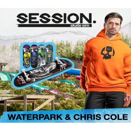 Session: Skate Sim - Waterpark & Chris Cole DLC Steam CD Key