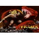 Volgarr the Viking AR XBOX One / Xbox Series X|S CD Key