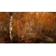 The Elder Scrolls V: Skyrim - Anniversary Upgrade DLC EU PC Steam CD Key