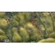 Frontline: Panzers & Generals Vol. I Steam CD Key