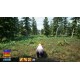 Forest Simulator Steam CD Key