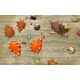 SPORE Complete Pack Steam Account