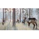 Planet Zoo - Arctic Pack DLC EU PC Steam CD Key