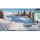 Planet Zoo - Arctic Pack DLC EU PC Steam CD Key