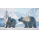 Planet Zoo - Arctic Pack DLC EU PC Steam CD Key