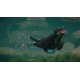 Planet Zoo - Aquatic Pack DLC EU PC Steam CD Key