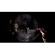 The Immolate Steam CD Key