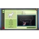 Animal Shelter - Vet Clinic DLC PC Steam CD Key