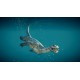Jurassic World Evolution 2 - Prehistoric Marine Species Pack DLC Steam CD Key