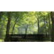 Fear Of Mine Steam CD Key