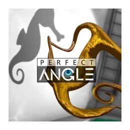 Perfect Angle Steam CD Key