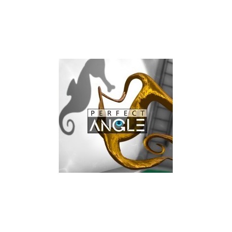 Perfect Angle Steam CD Key