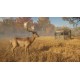 theHunter: Call of the Wild Gold Bundle Steam CD Key