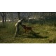 theHunter: Call of the Wild Gold Bundle Steam CD Key