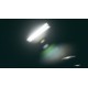 Don't Flee Steam CD Key
