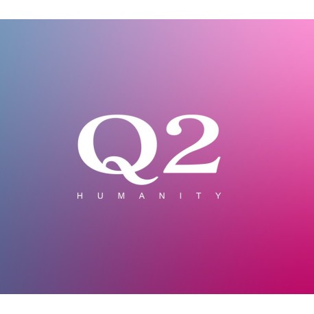 Q2 HUMANITY Steam CD Key