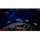 Rebellion Corporation Steam CD Key