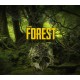 The Forest PS4 Account