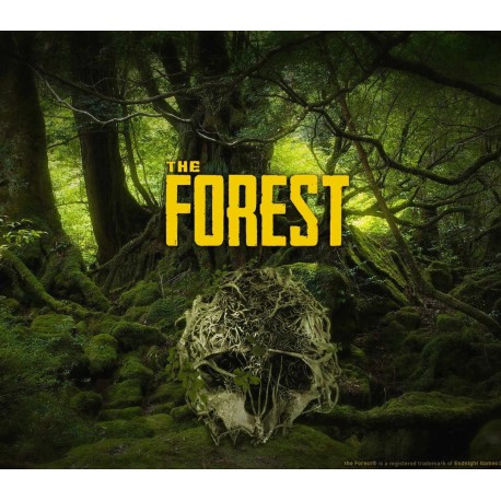 The Forest PS4 Account